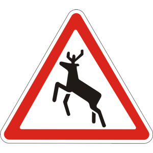 Дорожній знак 1.36 «Дикі тварини»