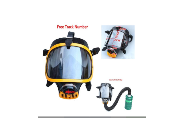 Маска для всього обличчя PUDA | Захисний респіратор з фільтрами P-A-2